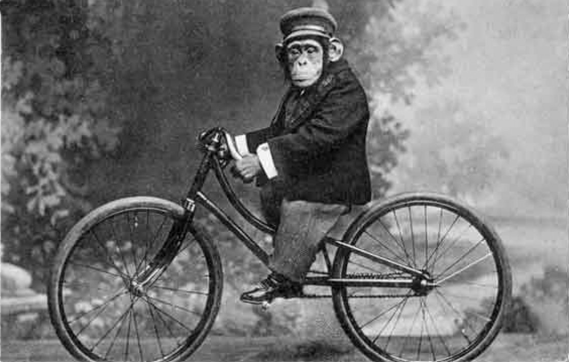 cropped-monkey_on_bicycle_vintage_1216757373.jpg